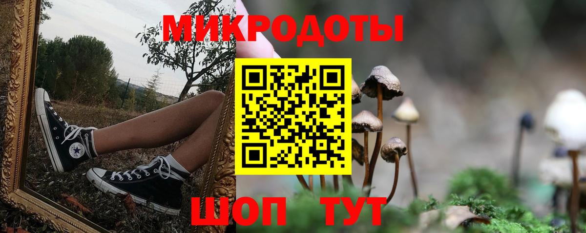 Псилоцибиновые грибы ЛСД  Галлюциногенные грибы мухоморы  Знаменск  Вход с VPN 